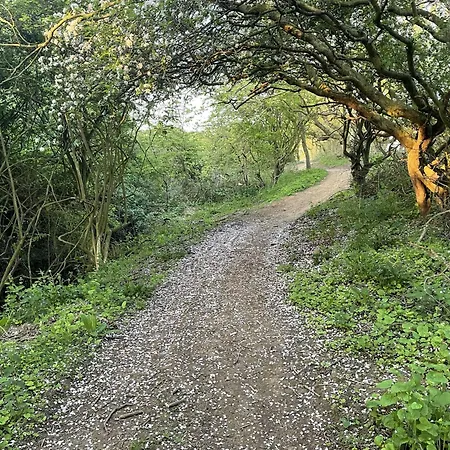 Lens Sandy Collection - Collection Of 2 And One Seaview - Part Of The The Bay Village With Pool, Gym And Direct Access, Pub, Restaurant, Tennis And Meadows Walks Nyaraló